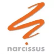 Narcissus