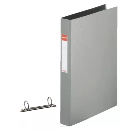 Segregator 2 ringowy Esselte Rainbow A4/25 Szary