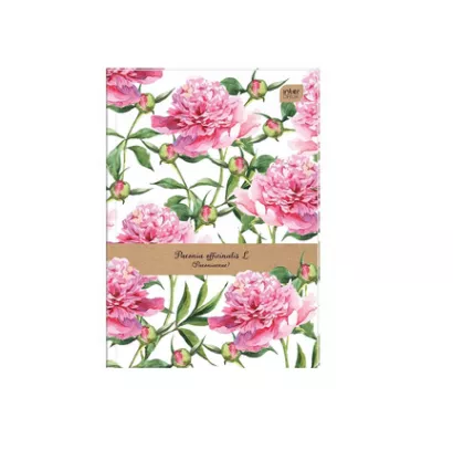 Brulion B5 Niebieska Kratka 128k. Interdruk 