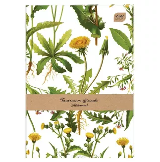 Brulion A4 Krata 192 kartki Mix Interdruk