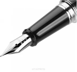 Pióro Wieczne Pilot MR Lezard + Etui