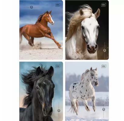 Zeszyt A5 Kolorowa Linia 16 Kartek Wild Horses Interdruk