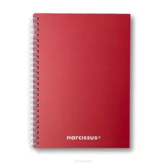 Kołonotatnik SWING Mono BG A5 80K kratka 80g NARCISSUS