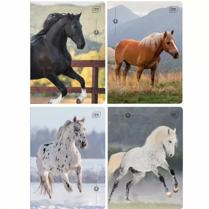 Zeszyt A5 Kolorowa Linia 32 Kartki Wild Horses Interdruk