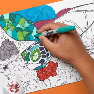 Markery Permanentne Sharpie zestaw 12szt. + GRATIS - 5