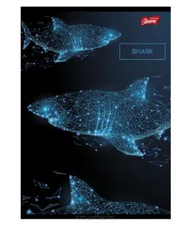 Zeszyt A5 Szeroka Linia 80 Kartek St-Majewski Laminowana Okładka