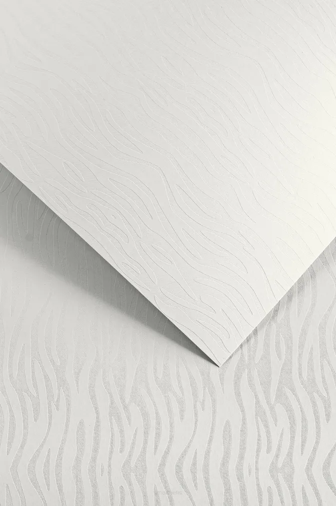 Karton Ozdobny Pacific Biały Galeria Papieru SmartKleks.pl