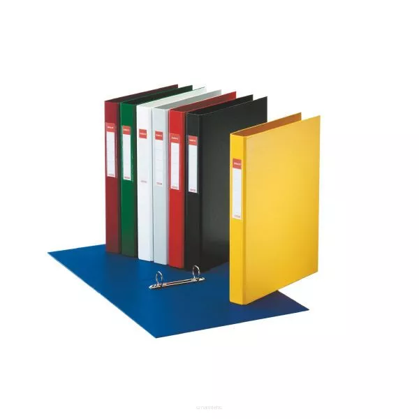 Segregator A4 2R ESSELTE BORDO 14456