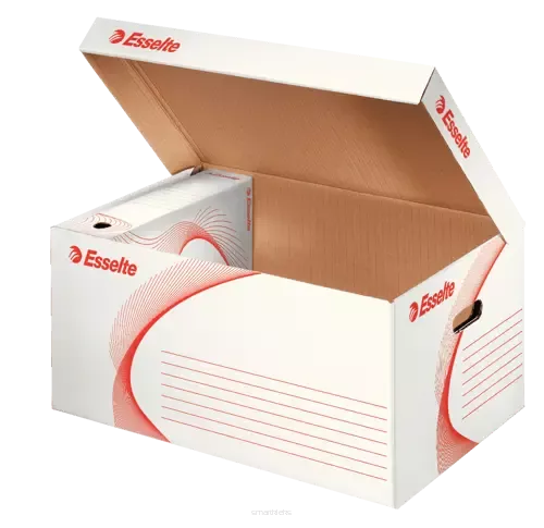 PUDŁO ARCHIWIZACYJNE KARTON ZBIORCZE ESSELTE