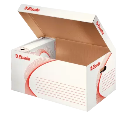 PUDŁO ARCHIWIZACYJNE KARTON ZBIORCZE ESSELTE