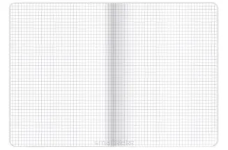 Zestaw 20x Zeszyt A5/16 Linea w Kratkę TOP-2000 Zwierzęta - 6