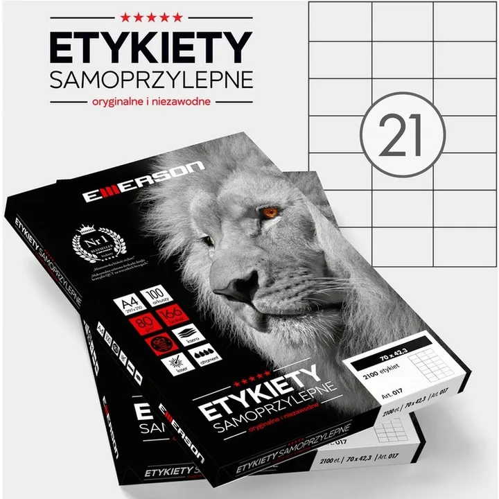 Etykiety Samoprzylepne Emerson A4 100 arkuszy  SmartKleks.pl