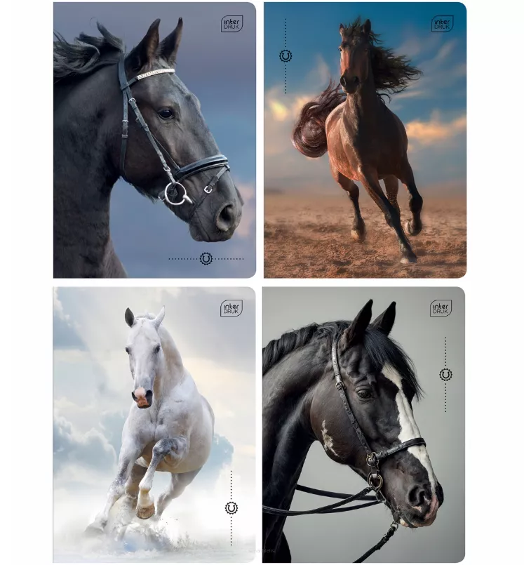 Zeszyt A5 Kratka 32 Kartki Wild Horses Interdruk smartkleks.pl