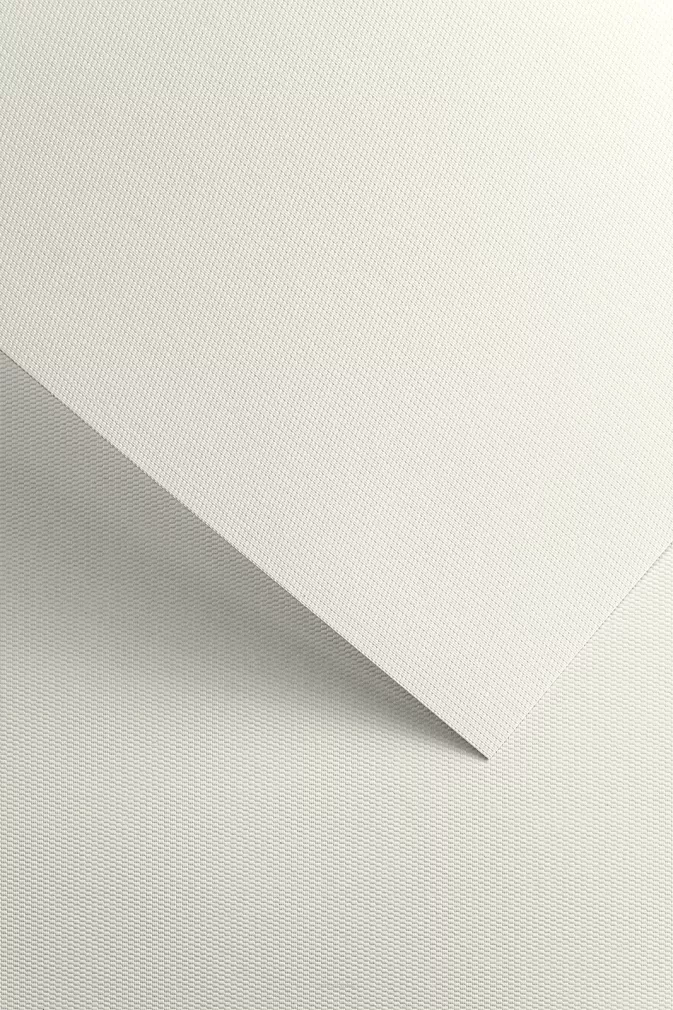 Karton Ozdobny Floryda Biały Galeria Papieru SmartKleks.pl