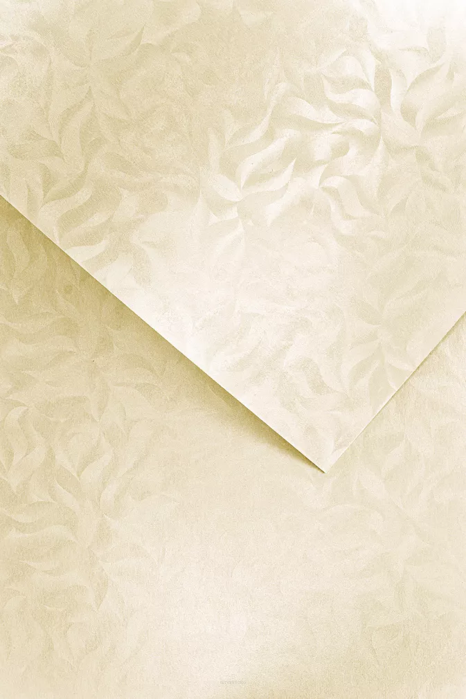 Karton Ozdobny Olympia Kremowy A4 Galeria Papieru SmartKleks.pl