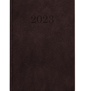 Kalendarz 2023 Standard A4 Brąz  TOP-2000