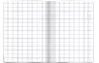 Zestaw 10x Zeszyt A5/32 Linea w Kratkę TOP-2000 Zwierzęta smartkleks.pl