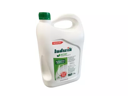 LUDWIK PŁYN DO NACZYŃ 5L. MIĘTOWY