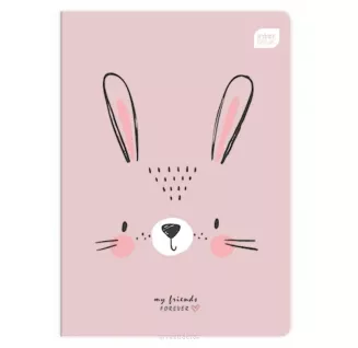 Zeszyt A5 Kolorowa Linia 32k. Interdruk 