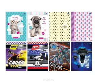 Zeszyt A5 Linia kolorowa 32 kartki Mix Interdruk