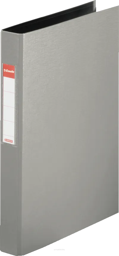 Segregator A4/25 Szary Esselte