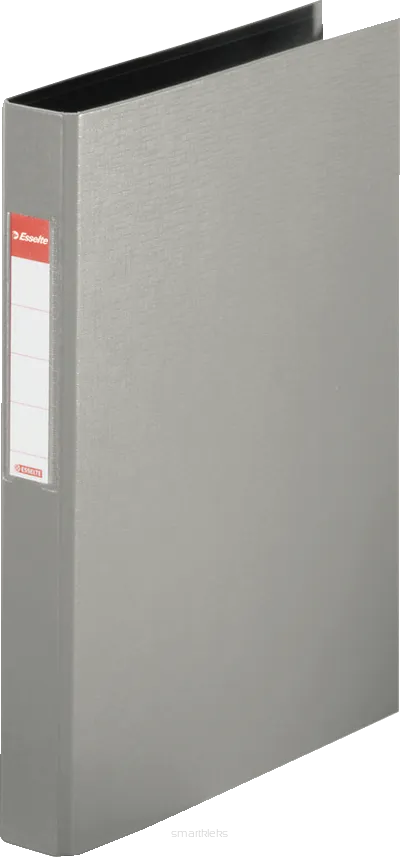 Segregator A4/25 Szary Esselte