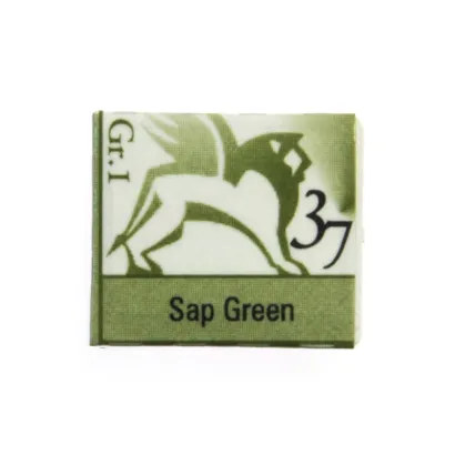 Akwarele w Półkostkach Renesans 37 Sap Green
