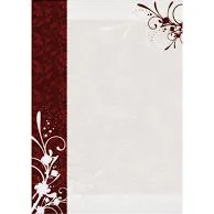 Dyplom Finezja A4 170g/m2 Galeria Papieru