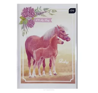 Zeszyt A5 Interdruk 16 Kartek 70g/m2 Kratka Niebieska