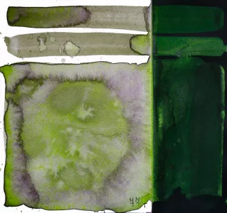 FARBY AKWARELOWE KURATAKE GANSAI TAMBI  GRANUUJĄCE 5SZT