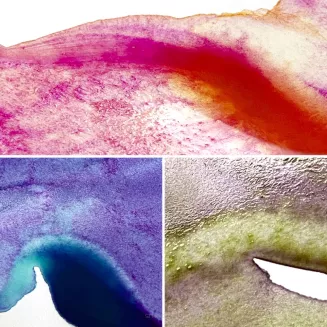 FARBY AKWARELOWE KURATAKE GANSAI TAMBI  GRANUUJĄCE 5SZT