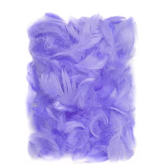 Piórka Dekoracyjne Liliowe CEPI-019