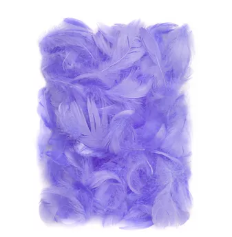 Piórka Dekoracyjne Liliowe CEPI-019