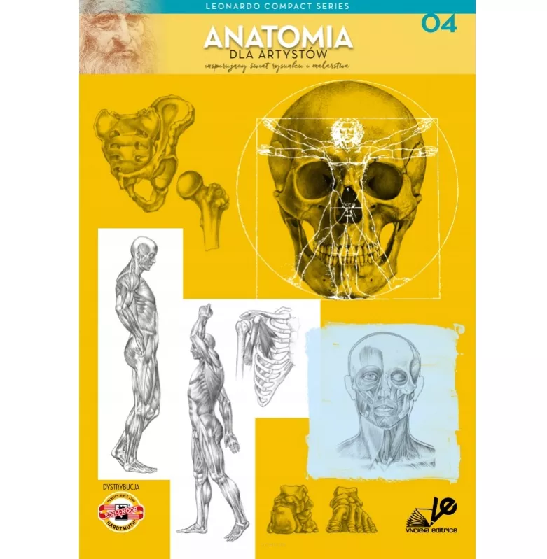 Podstawy rysunku Tom 4 Anatomia Leonardo Koh-i-Noor