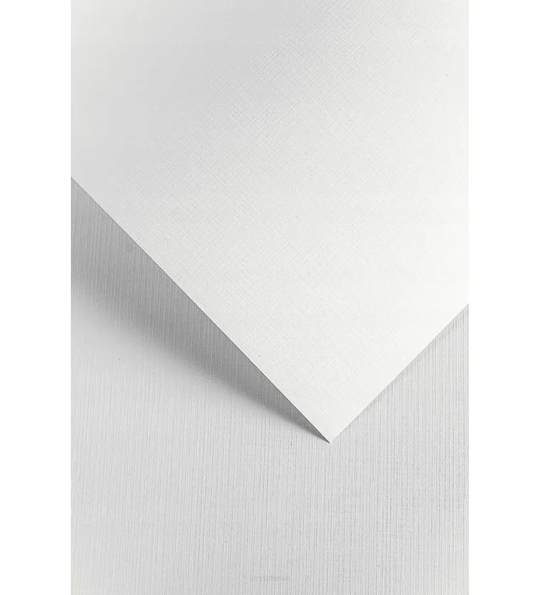 Karton Ozdobny Kratka Biały Galeria Papieru smartkleks.pl