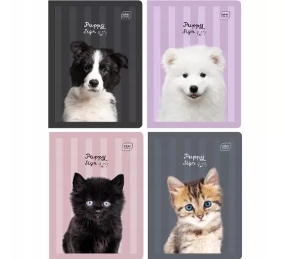 Zeszyt A5 Kolorowa Linia 32 Kartki Puppy Sign Mix Interdruk