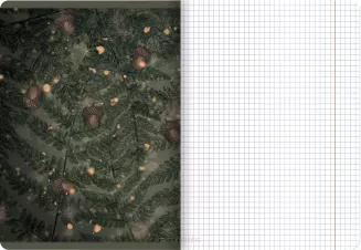 Zeszyt Top 2000 Forest/Ice A5/60k Krata - 13