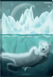 Zeszyt Top 2000 Forest/Ice A5/60k Krata - 8