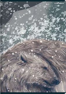 Zeszyt Top 2000 Forest/Ice A5/60k Krata - 7