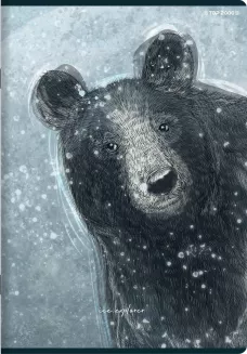 Zeszyt Top 2000 Forest/Ice A5/60k Krata - 6