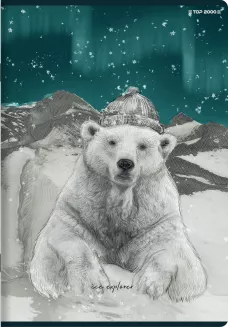 Zeszyt Top 2000 Forest/Ice A5/60k Krata - 5