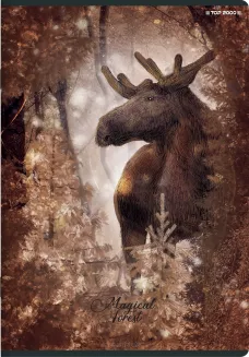 Zeszyt Top 2000 Forest/Ice A5/60k Krata - 4