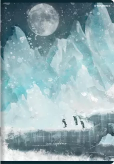 Zeszyt Top 2000 Forest/Ice A5/60k Krata - 10