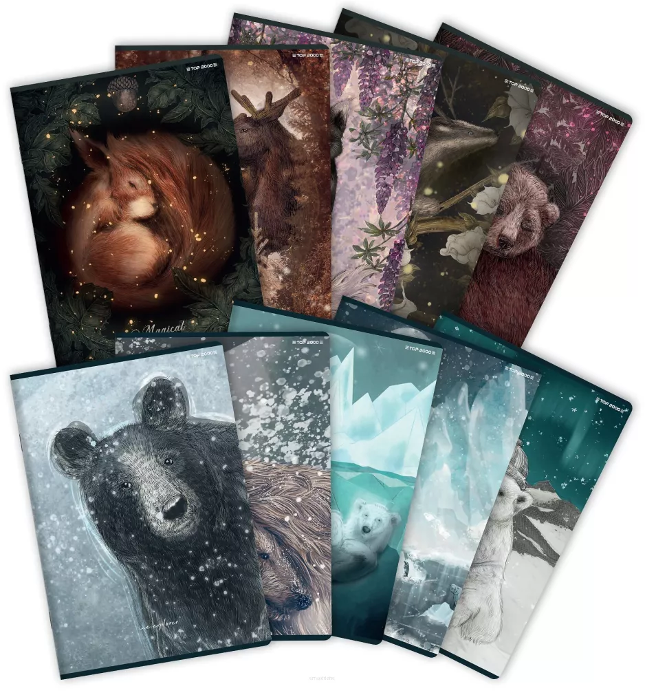 Zeszyt Top 2000 Forest/Ice A5/60k Krata smartkleks.pl