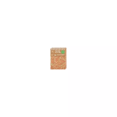 Kołonotatnik ZESZYT w kratkę A6 80 kartek 70g. TETIS