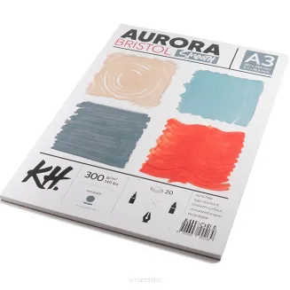 Papier Artystyczny Aurora Bristol Smooth 300g/m2 A3