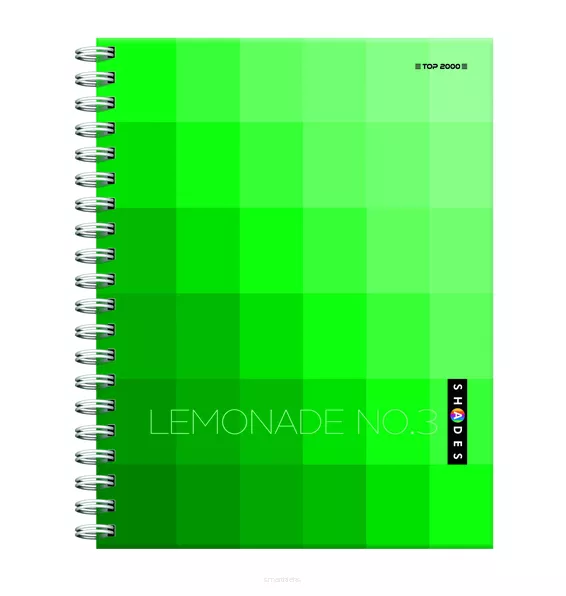 Kołozeszyt z przekładkami Brulion B5/100 Kratka