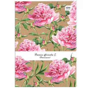 Zeszyt A4 Gładki 60 kartek Mix Interdruk