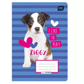 Zeszyt A5 Gładki 16 kartek Mix Interdruk