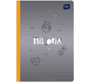 Zeszyt Tematyczny Hybrid - Historia  A5/60 w Kratkę Interdruk